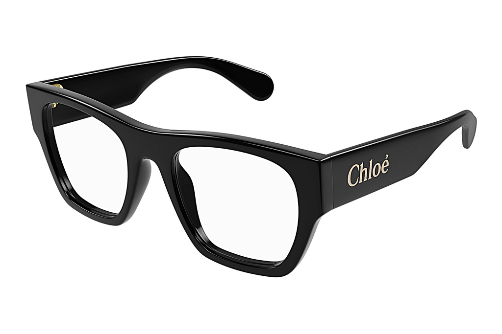 Chloé   CH0250O 001 BLACK