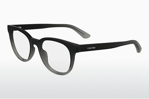 Γυαλιά Calvin Klein CK24522 004