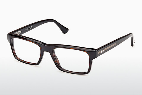 Γυαλιά Web Eyewear WE5432 056