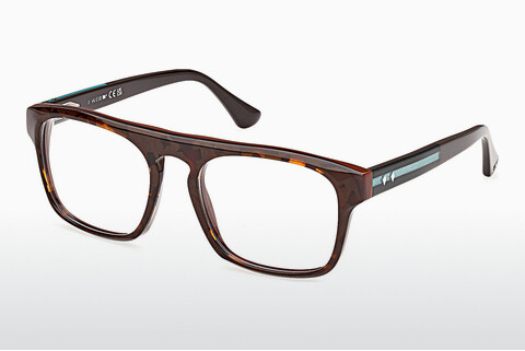 Γυαλιά Web Eyewear WE5434 052