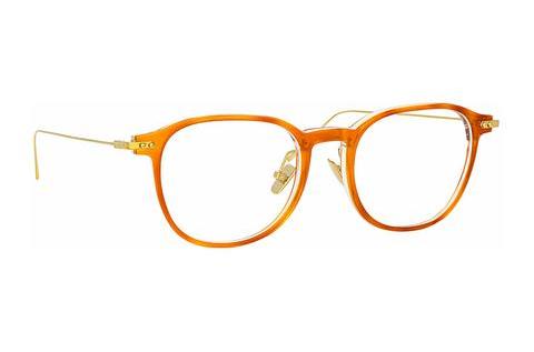 Γυαλιά Linda Farrow LF16/V C5