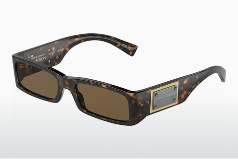 Γυαλιά ηλίου Dolce & Gabbana DG4444 502/73
