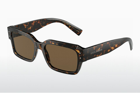 Γυαλιά ηλίου Dolce & Gabbana DG4460 502/73