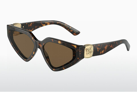 Γυαλιά ηλίου Dolce & Gabbana DG4469 502/73
