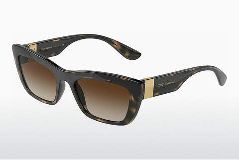 Γυαλιά ηλίου Dolce & Gabbana DG6171 330613