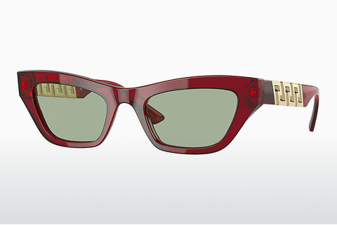Γυαλιά ηλίου Versace VE4419 388/2