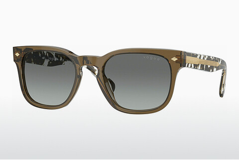 Γυαλιά ηλίου Vogue Eyewear VO5571S 314411