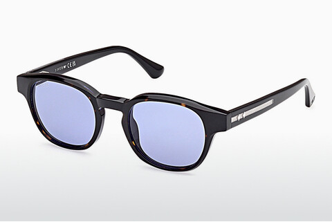 Γυαλιά ηλίου Web Eyewear WE0361 56V