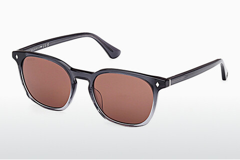 Γυαλιά ηλίου Web Eyewear WE0364 20S