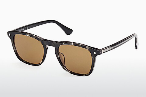 Γυαλιά ηλίου Web Eyewear WE0365 05E