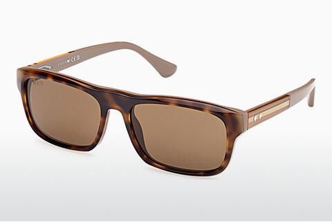 Γυαλιά ηλίου Web Eyewear WE0371 56J