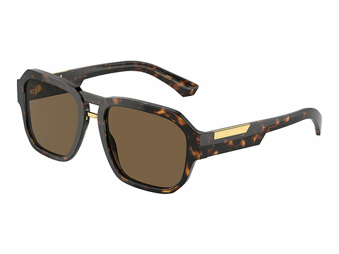 Γυαλιά ηλίου Dolce & Gabbana DG4464 502/73