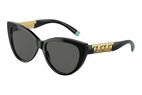Γυαλιά ηλίου Tiffany TF4196 8001S4