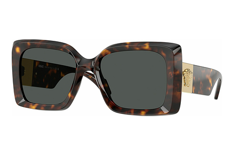 Γυαλιά ηλίου Versace VE4467U 108/87