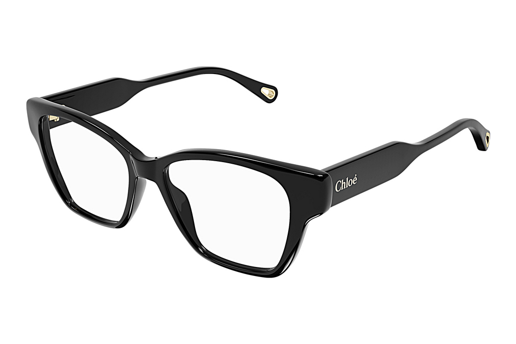 Chloé   CH0200O 006 BLACK