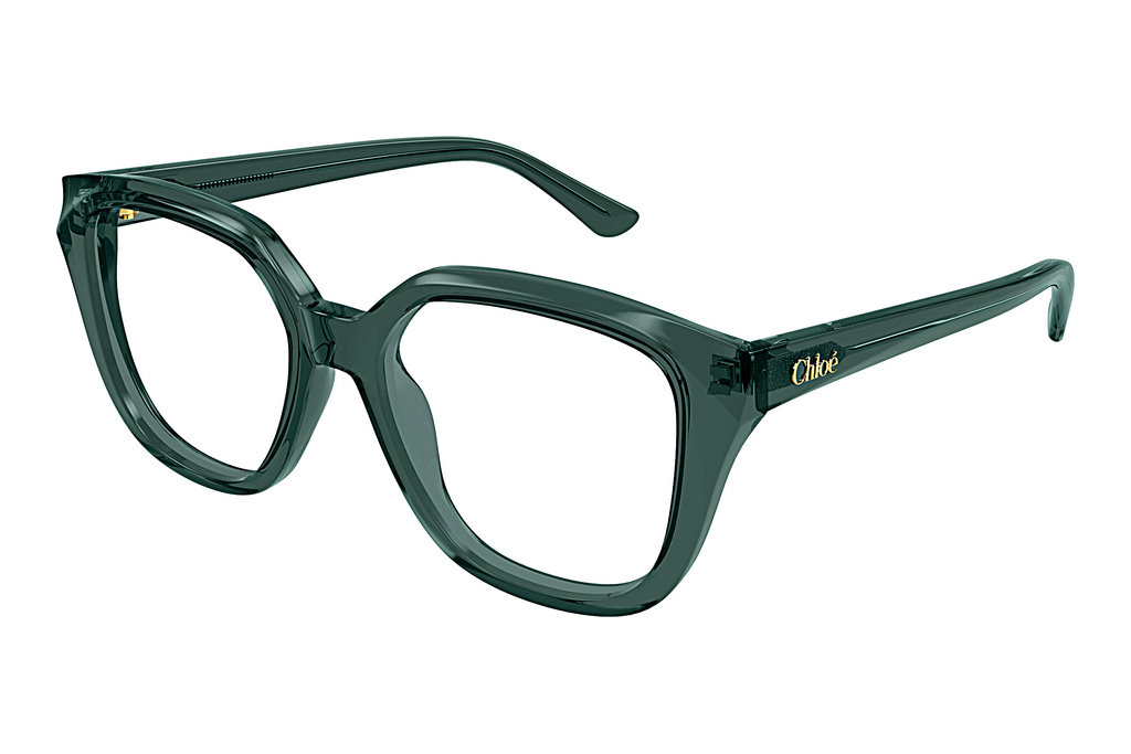 Chloé   CH0293O 005 GREEN