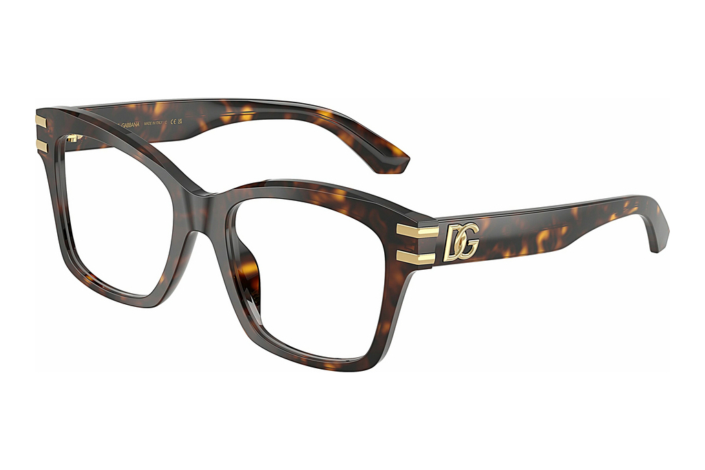 Dolce & Gabbana   DG3419 502 Havana