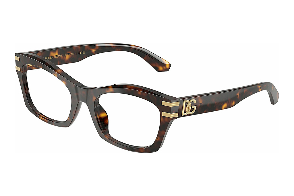 Dolce & Gabbana   DG3420 502 Havana