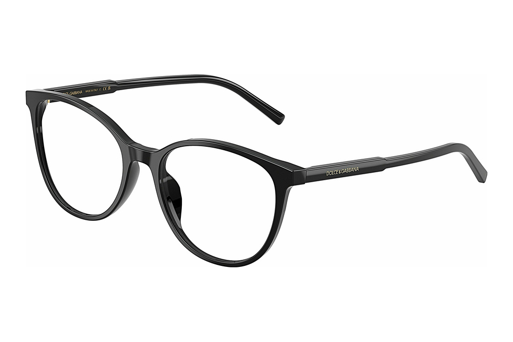 Dolce & Gabbana   DG3425 501 Black