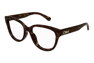 Chloé CH0243O 002 HAVANA