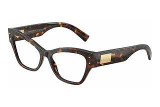 Dolce & Gabbana DG3404 502 Havana