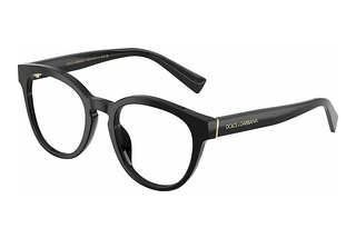 Dolce & Gabbana DG3421 501 Black