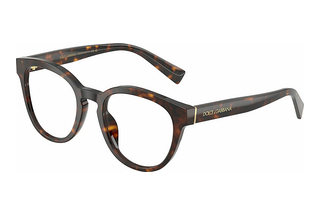 Dolce & Gabbana DG3421 502 Havana