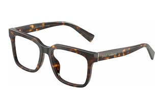 Dolce & Gabbana DG3422 502 Havana