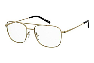 Pierre Cardin P.C. 6913 AOZ