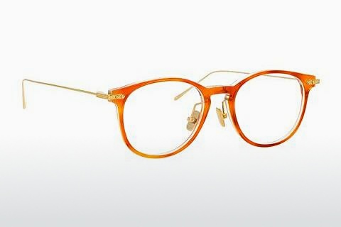 Γυαλιά Linda Farrow LF01/V C5