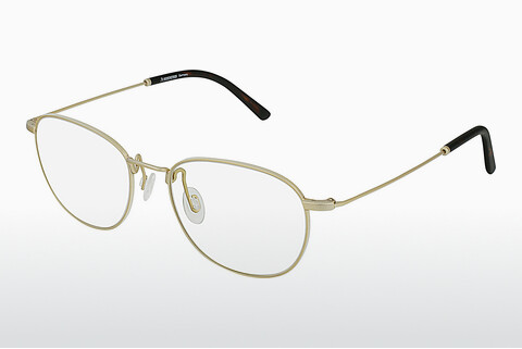 Γυαλιά Rodenstock R2617 B