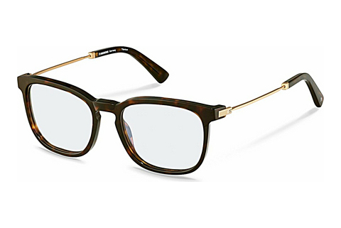 Γυαλιά Rodenstock R8029 B000