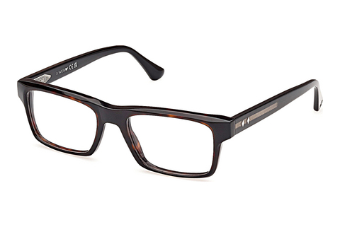 Γυαλιά Web Eyewear WE5432 056