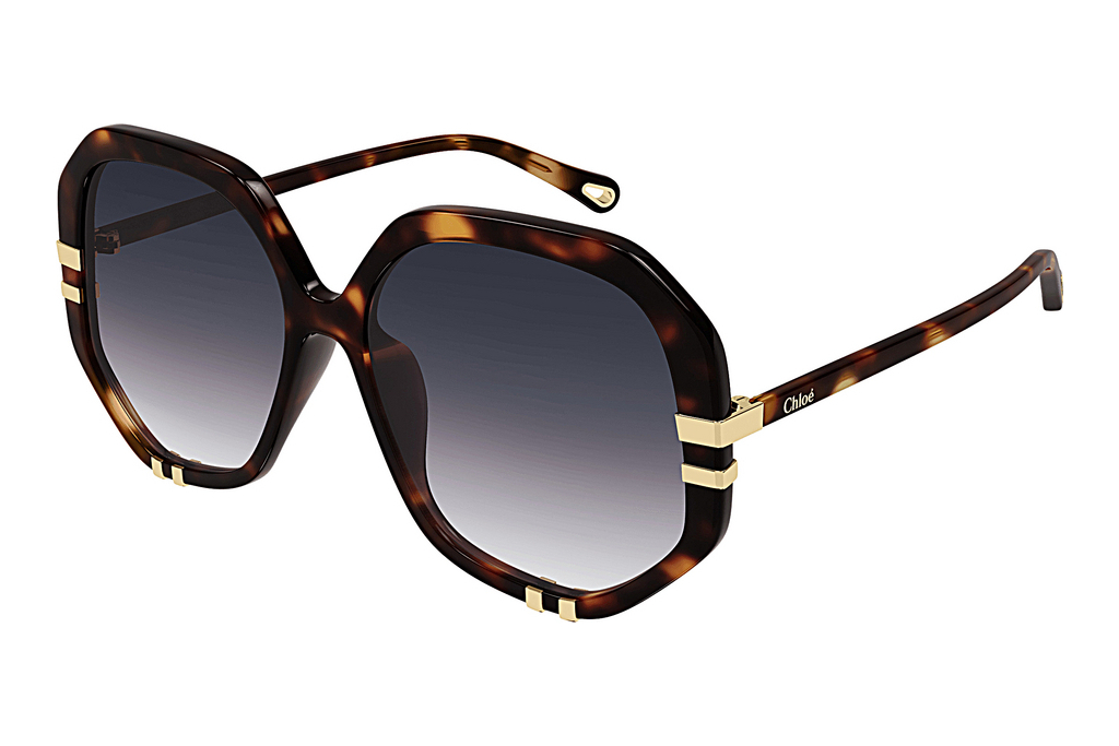 Chloé   CH0105S 004 HAVANA