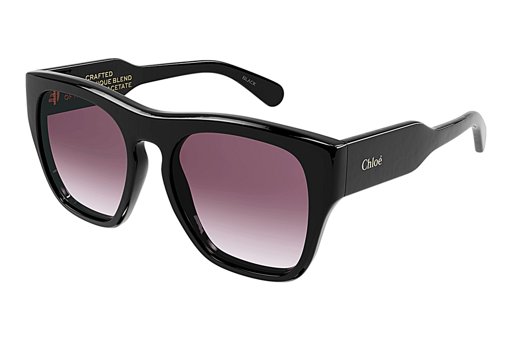 Chloé   CH0149S 001 BLACK