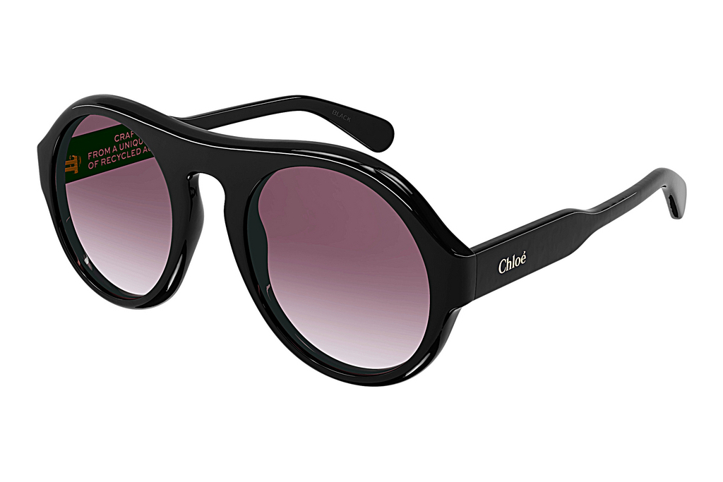 Chloé   CH0151S 001 BLACK