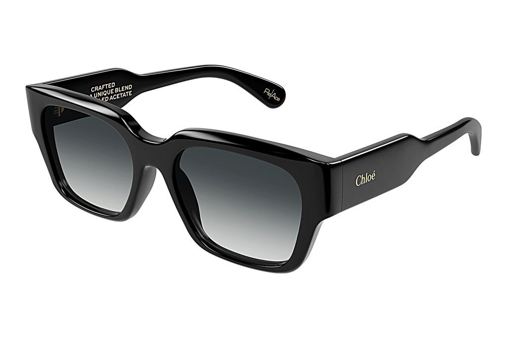 Chloé   CH0190S 001 BLACK