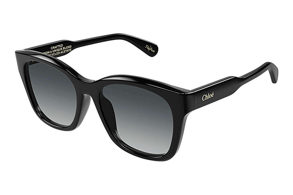 Chloé   CH0194SK 001 BLACK