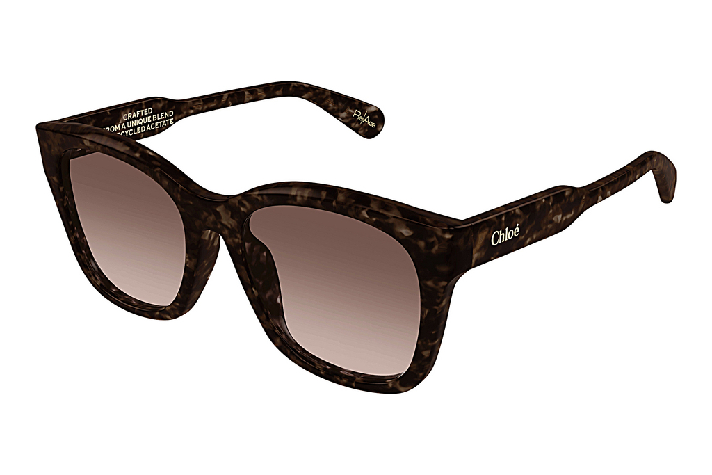 Chloé   CH0194SK 002 HAVANA