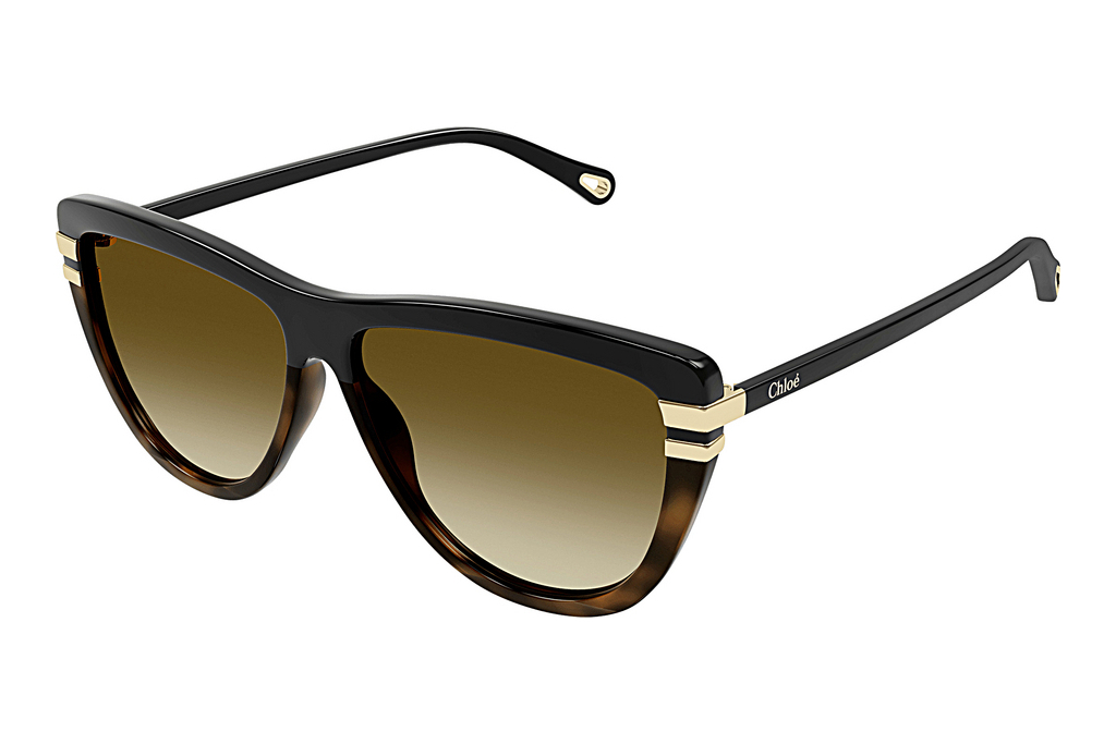 Chloé   CH0203S 003 BLACK