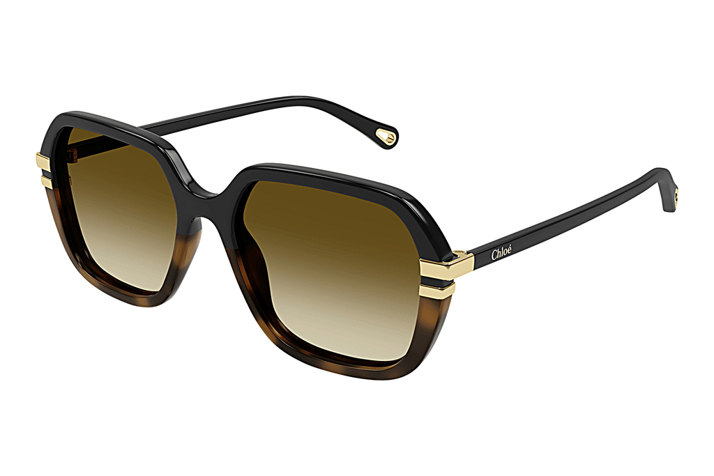 Chloé   CH0204S 003 BLACK