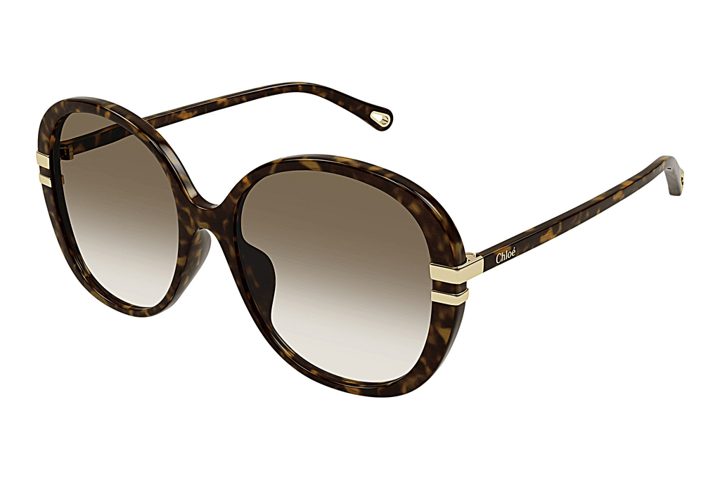 Chloé   CH0207SK 002 HAVANA