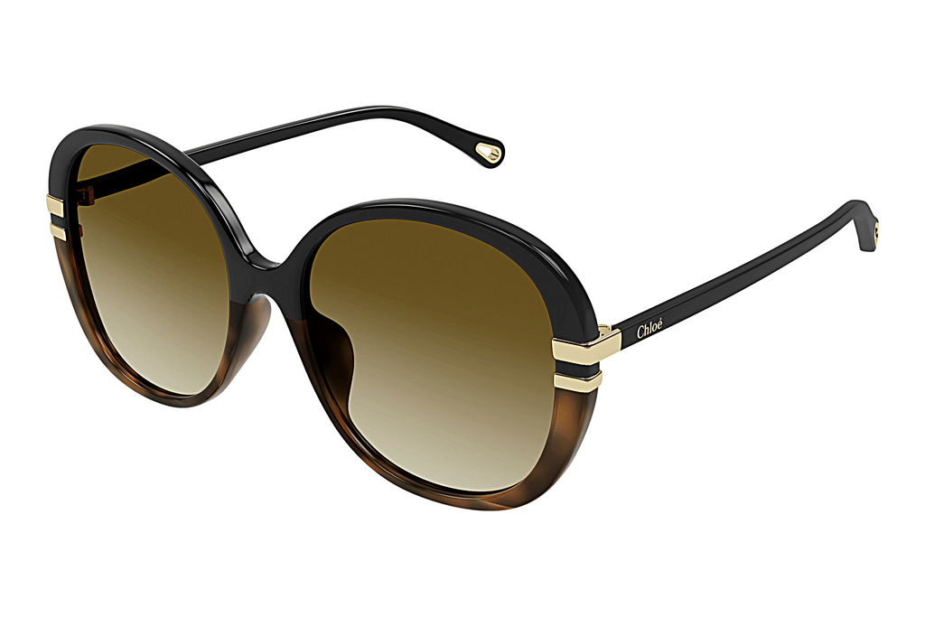 Chloé   CH0207SK 003 BLACK