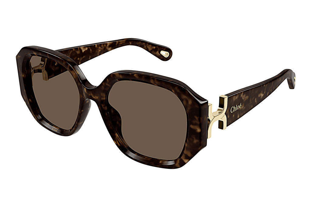 Chloé   CH0236S 002 HAVANA