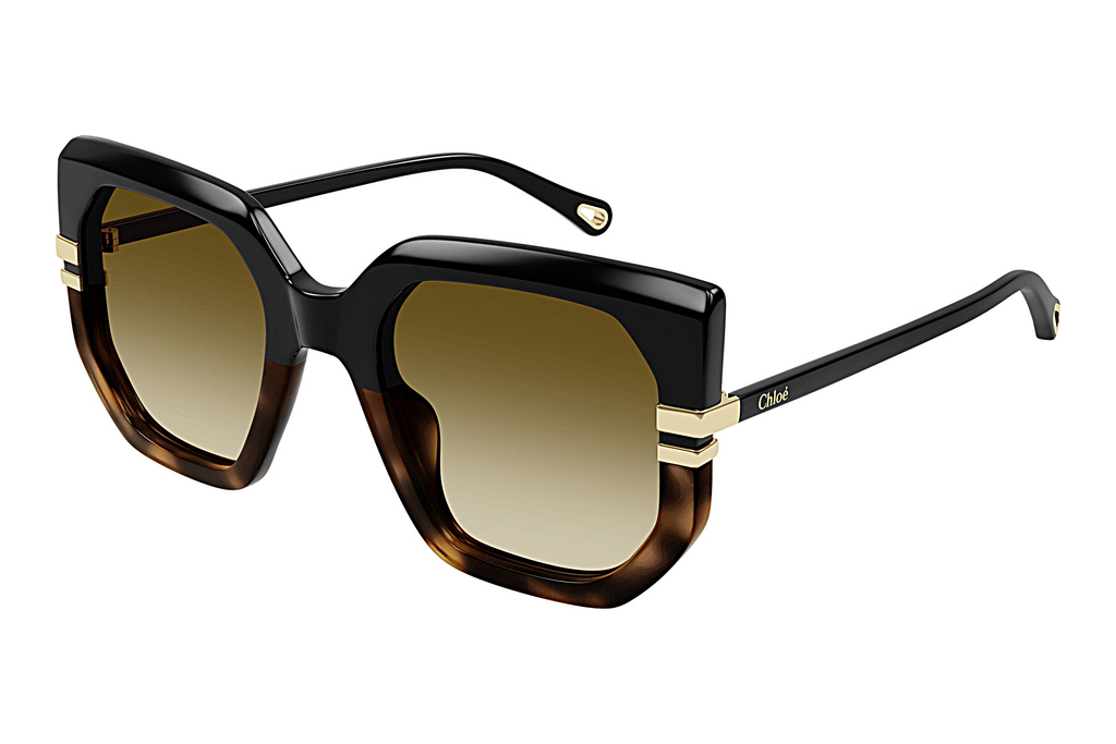 Chloé   CH0240S 003 BLACK