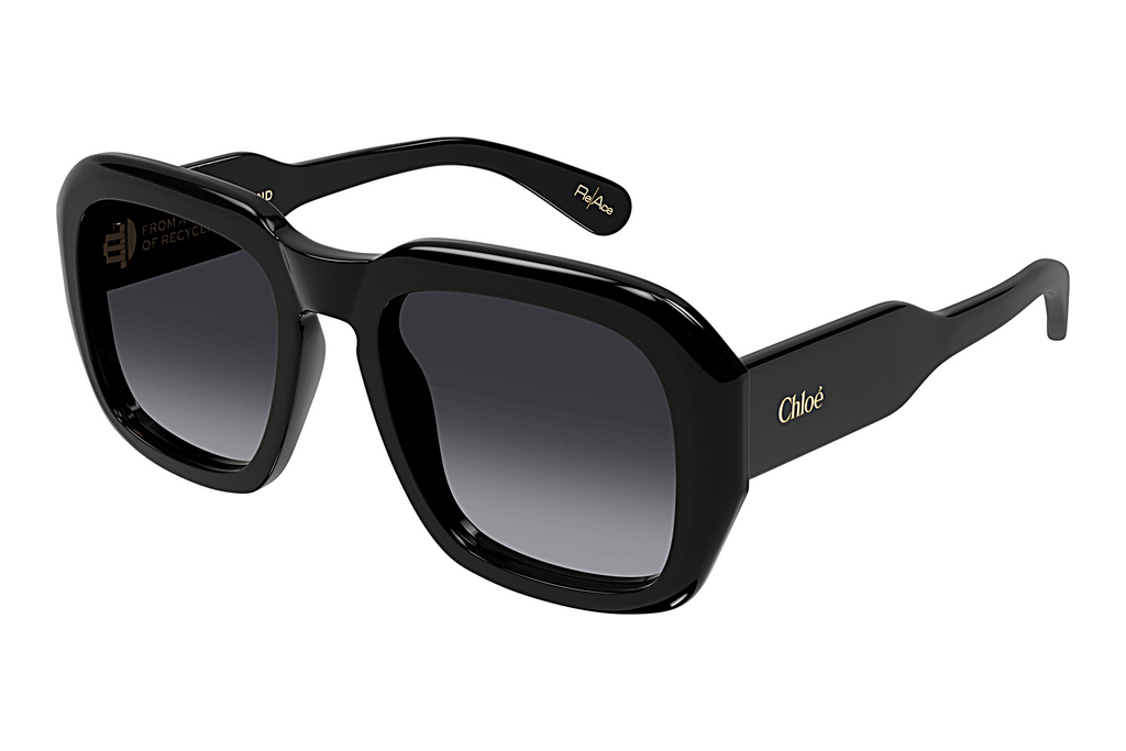 Chloé   CH0310S 001 BLACK