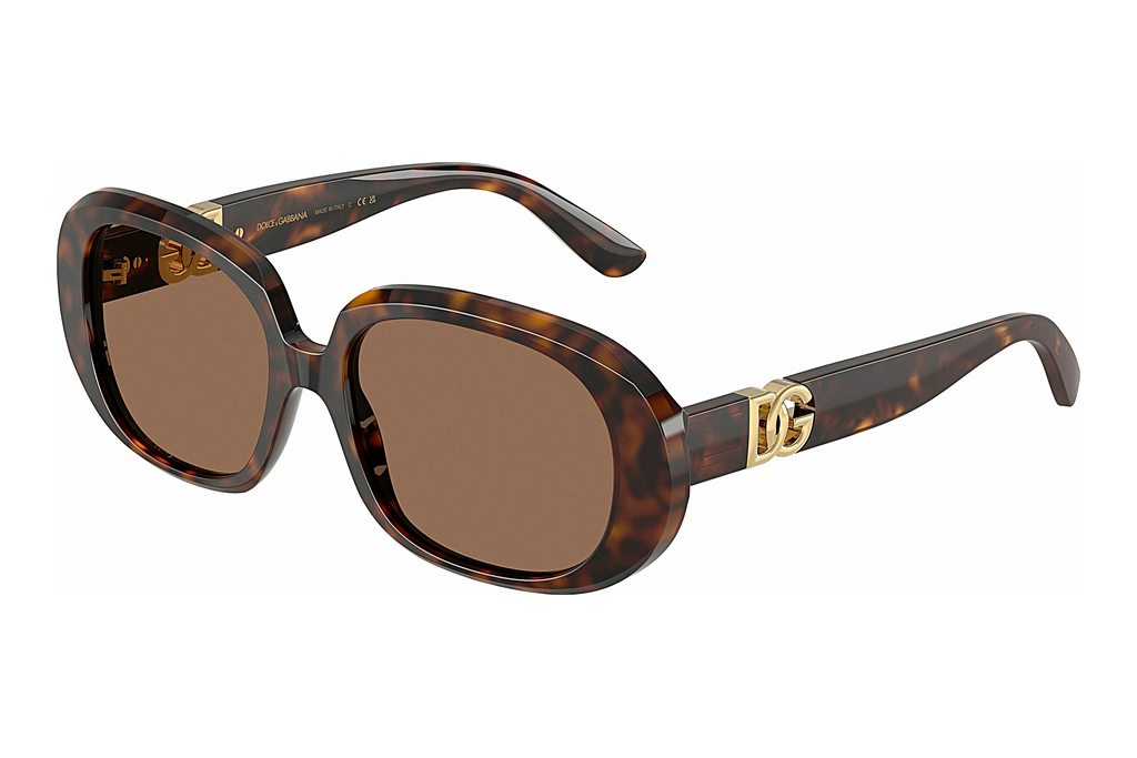 Dolce & Gabbana   DG4476 502/73 Dark BrownHavana