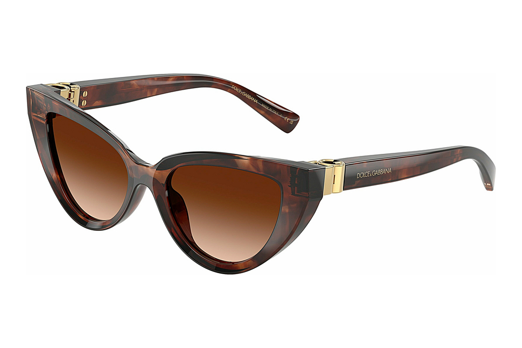 Dolce & Gabbana   DG4497 322274 Brown GradientDark Red Havana