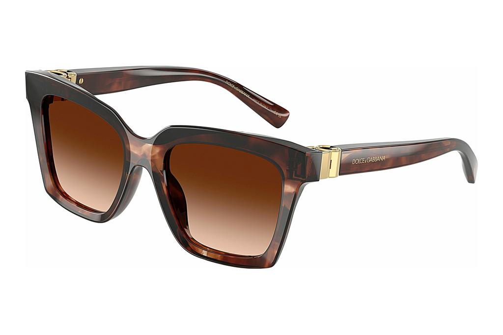 Dolce & Gabbana   DG4498 322274 Brown GradientDark Red Havana