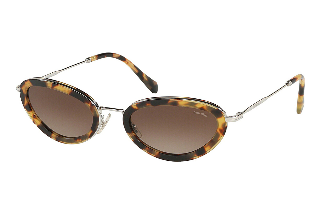 Miu Miu   MU 58US 7S06S1 Brown GradientLight Havana